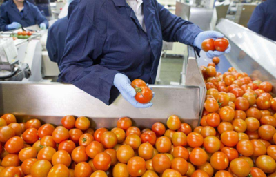 從田間到餐桌 農(nóng)副食品加工業(yè)的內(nèi)涵、現(xiàn)狀與未來展望